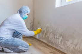 Best Post-Construction Mold Inspection  in Riverside, CA