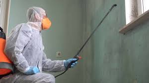 Mold Odor Removal Services in Riverside, CA