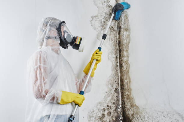 Asbestos and Lead Testing During Mold Inspection in Riverside, CA